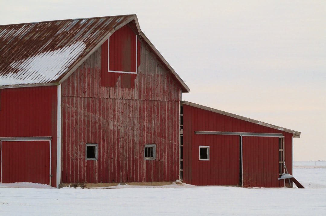 Photo Mule barn
